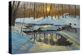 Winter Brook Sunset-Bruce Dumas-Stretched Canvas