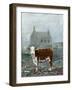 winter calf-Alex Williams-Framed Giclee Print