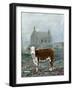 winter calf-Alex Williams-Framed Giclee Print