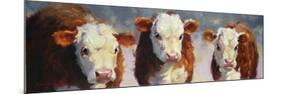 Winter Calves-Carolyne Hawley-Mounted Art Print