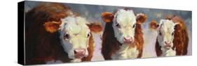 Winter Calves-Carolyne Hawley-Stretched Canvas