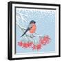 Winter Card with Bullfinch on the Branch of Rowan-Scarlet Starlet-Framed Art Print