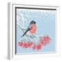 Winter Card with Bullfinch on the Branch of Rowan-Scarlet Starlet-Framed Art Print