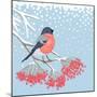 Winter Card with Bullfinch on the Branch of Rowan-Scarlet Starlet-Mounted Art Print