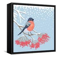 Winter Card with Bullfinch on the Branch of Rowan-Scarlet Starlet-Framed Stretched Canvas