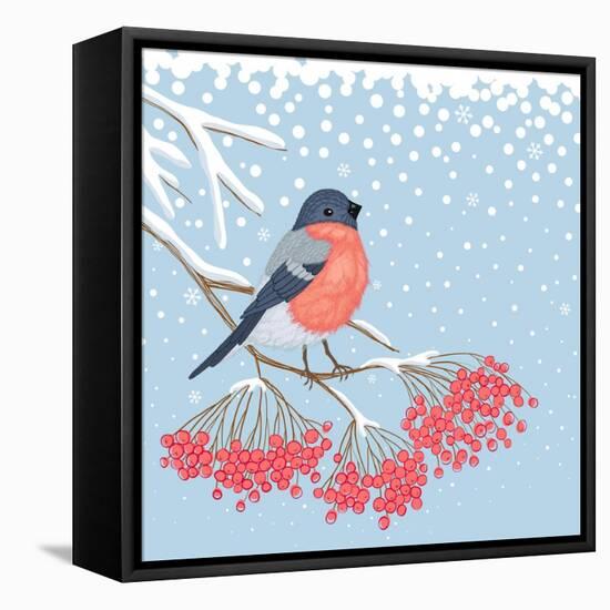 Winter Card with Bullfinch on the Branch of Rowan-Scarlet Starlet-Framed Stretched Canvas