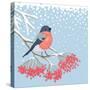 Winter Card with Bullfinch on the Branch of Rowan-Scarlet Starlet-Stretched Canvas