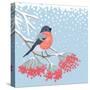 Winter Card with Bullfinch on the Branch of Rowan-Scarlet Starlet-Stretched Canvas