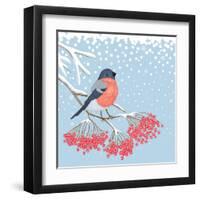 Winter Card with Bullfinch on the Branch of Rowan-Scarlet Starlet-Framed Art Print