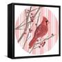 Winter Cardinal Collection C-Annie Warren-Framed Stretched Canvas