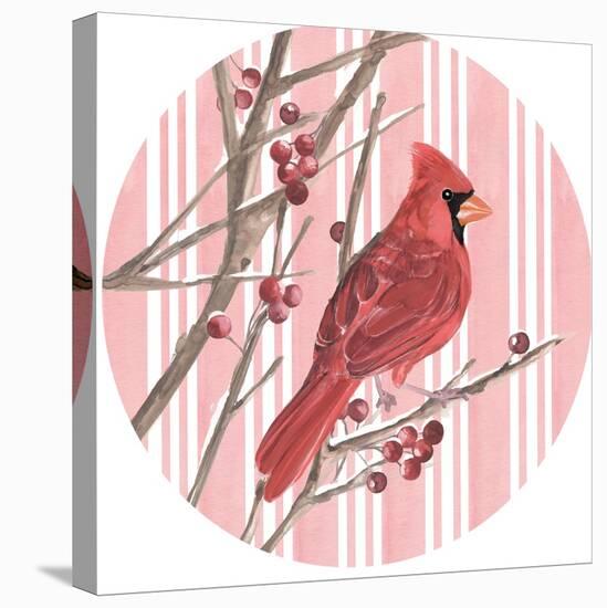 Winter Cardinal Collection C-Annie Warren-Stretched Canvas