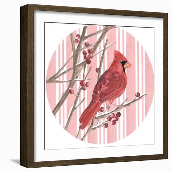 Winter Cardinal Collection C-Annie Warren-Framed Art Print