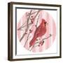 Winter Cardinal Collection C-Annie Warren-Framed Art Print