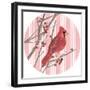 Winter Cardinal Collection C-Annie Warren-Framed Art Print