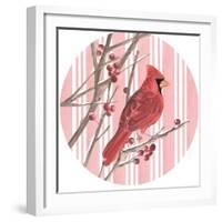 Winter Cardinal Collection C-Annie Warren-Framed Art Print