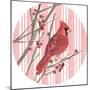 Winter Cardinal Collection C-Annie Warren-Mounted Art Print