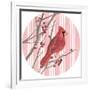 Winter Cardinal Collection C-Annie Warren-Framed Art Print