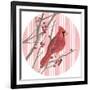 Winter Cardinal Collection C-Annie Warren-Framed Art Print