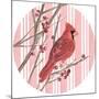 Winter Cardinal Collection C-Annie Warren-Mounted Art Print