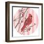 Winter Cardinal Collection C-Annie Warren-Framed Art Print