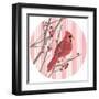 Winter Cardinal Collection C-Annie Warren-Framed Art Print