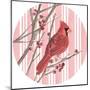 Winter Cardinal Collection C-Annie Warren-Mounted Art Print