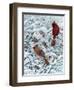 Winter Cardinal Painting-Jeff Tift-Framed Giclee Print