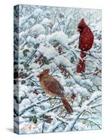 Winter Cardinal Painting-Jeff Tift-Stretched Canvas