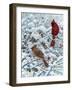 Winter Cardinal Painting-Jeff Tift-Framed Premium Giclee Print