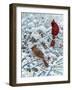 Winter Cardinal Painting-Jeff Tift-Framed Giclee Print