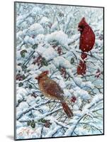 Winter Cardinal Painting-Jeff Tift-Mounted Giclee Print