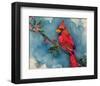 Winter Cardinal-null-Framed Art Print