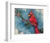 Winter Cardinal-null-Framed Art Print