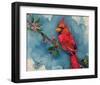 Winter Cardinal-null-Framed Art Print