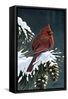 Winter Cardinal-Wilhelm Goebel-Framed Stretched Canvas