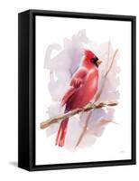 Winter Cardinal-Katrina Pete-Framed Stretched Canvas