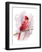 Winter Cardinal-Katrina Pete-Framed Art Print