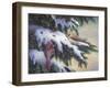 Winter Cardinals-Kevin Dodds-Framed Giclee Print