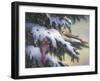 Winter Cardinals-Kevin Dodds-Framed Giclee Print