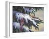 Winter Cardinals-Kevin Dodds-Framed Giclee Print