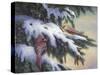 Winter Cardinals-Kevin Dodds-Stretched Canvas