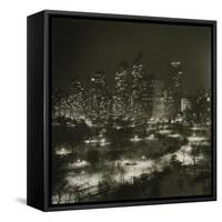 Winter Central Park-null-Framed Stretched Canvas