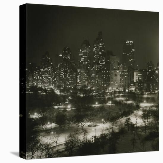 Winter Central Park-null-Stretched Canvas