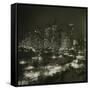 Winter Central Park-null-Framed Stretched Canvas