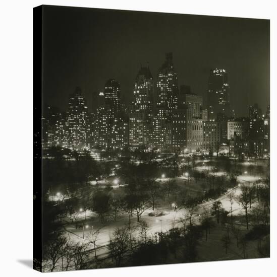 Winter Central Park-null-Stretched Canvas