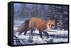 Winter Charm-R.W. Hedge-Framed Stretched Canvas