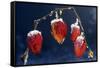 Winter Cherry-null-Framed Stretched Canvas