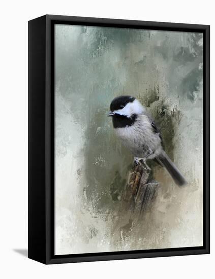 Winter Chickadee-Jai Johnson-Framed Stretched Canvas