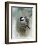 Winter Chickadee-Jai Johnson-Framed Giclee Print