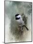 Winter Chickadee-Jai Johnson-Mounted Giclee Print